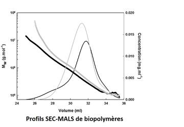 Profil SEC-MALS de biopolymères